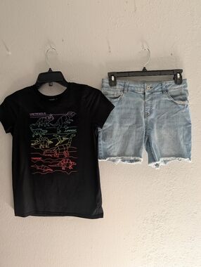 Girl Top And Short Bundle